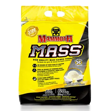 MAMMOTH MASS Vanilla Ice Cream - 6800G