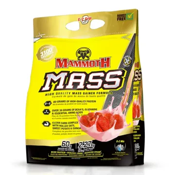 MAMMOTH MASS Fraise - 2270G
