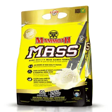 MAMMOTH MASS Vanilla Ice Cream - 2270G
