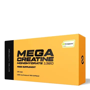 MEGA CREATINE MONOHYDRATE 1320